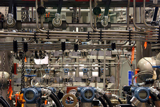 WhatsApp Image 2025-10-14 at 6.49.47 PM (2)