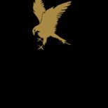 WhatsApp Image 2025-10-27 at 2.17.42 PM (1)